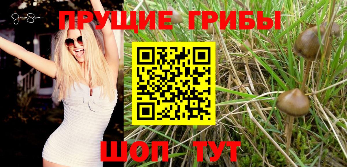 Псилоцибиновые грибы MAGIC MUSHROOMS Спасск-Дальний